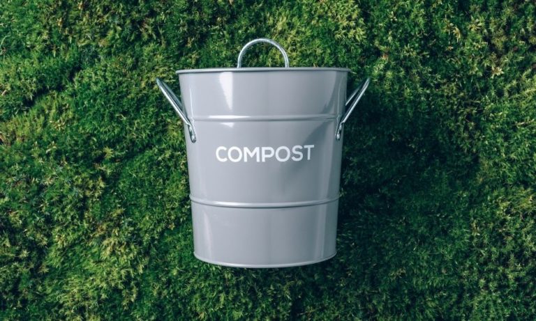 The Benefits of Using Compost Tea