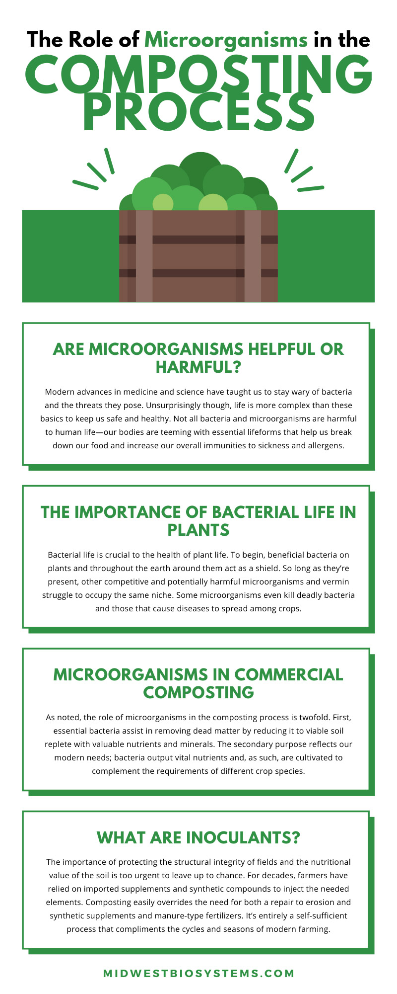 The Role of Microorganisms in the Composting Process